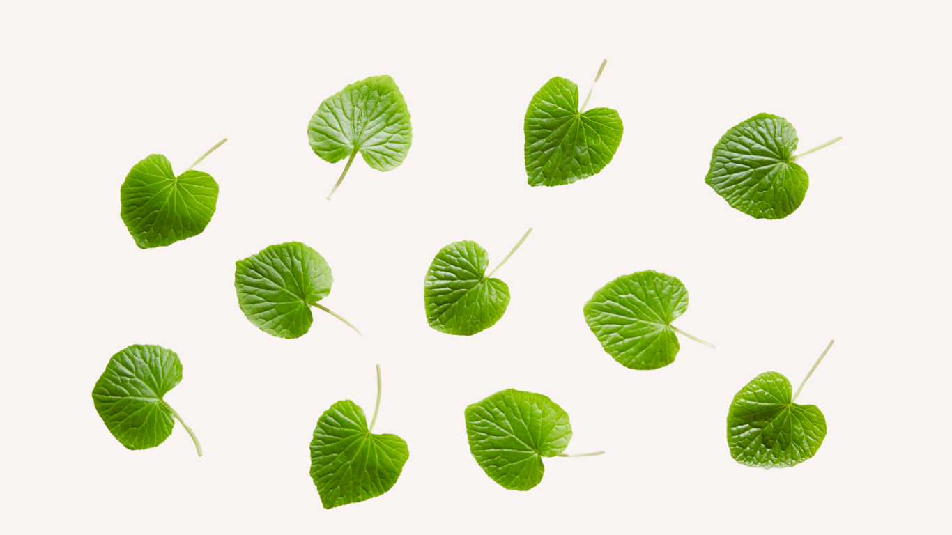Centella Asiatica (Gotu Kola): The Ancient Herb That Calms and Protects Sensitive Skin